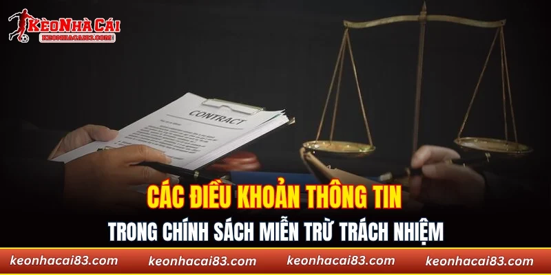 Các điều khoản thông tin trong chính sách miễn trừ trách nhiệm