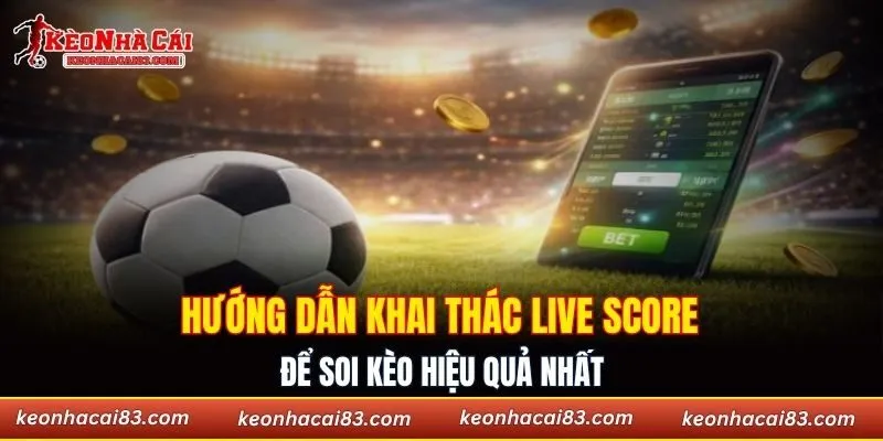 Hướng dẫn khai thác live score để soi kèo hiệu quả
