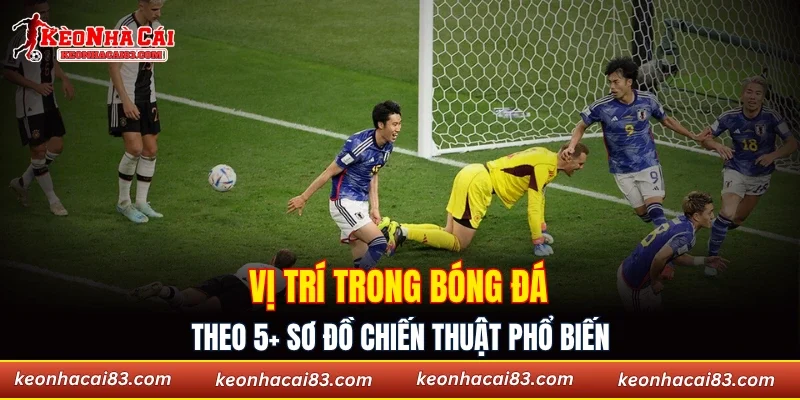 Vị trí trong bóng đá theo 5+ sơ đồ chiến thuật phổ biến